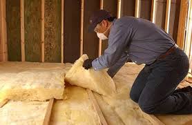 Best Garage Insulation  in Bayou Lourse, LA